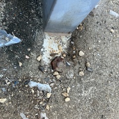 オイルタンクの画像