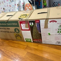 クリスマスツリーの画像