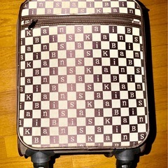 講師柄◼️スーツケース◼️ W31 × H45 × で20の画像