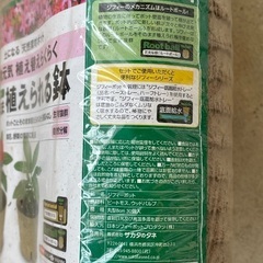 【未開封品】ジフィーポット　8cmの画像