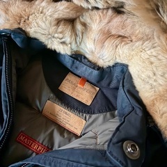 パラジャンパーズ　ダウンジャケットの画像