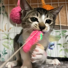 4ヶ月男の子🩵元気いっぱい