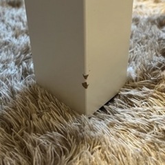 【お譲り先決定】デーブルの画像