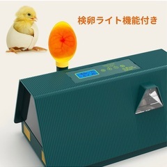 一回のみ使用！鳥鶏孵化器の画像