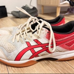 バレーボールシューズ27.5cmの画像