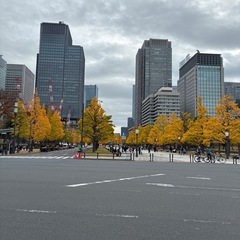 東習志野 ゆるジョグ仲間募集！【初心者OK】 - 八千代市