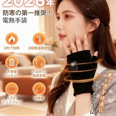 電熱手袋 電熱グローブ ヒーター手袋 速暖 3段階温度調節 USB充電 男女兼用 登山 釣り 通勤 パソコン作業 防寒対策の画像