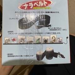 爬虫類みどり商会ナラベルト①の画像