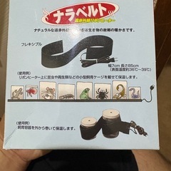 爬虫類みどり商会ナラベルト②の画像