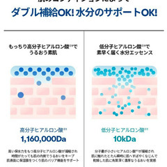 VT ヒアロニックハイ100エッセンス　30mlの画像