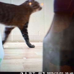 【引渡先決定】の画像