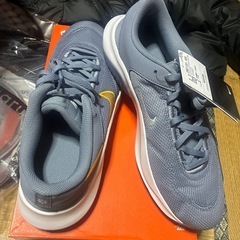 新品‼️NIKEレジェンドエッセンシャル3‼️グレー10インチ‼️の画像
