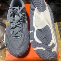新品‼️NIKEレジェンドエッセンシャル3‼️グレー10インチ‼️の画像