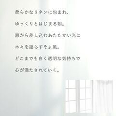 2箱　ファドリックホテル 柔軟剤 500mL＋ルーム＆ファブリックミスト 300mLの画像