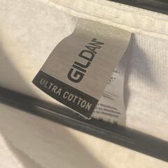 GILDAN 重ね着シャツの画像