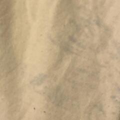 GILDAN 重ね着シャツの画像