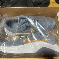 新品‼️NIKEレジェンドエッセンシャル3‼️グレー10インチ‼️の画像