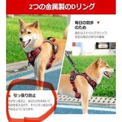 【犬用リード】引っ張り防止！イージーウォークハーネス（XS）の画像