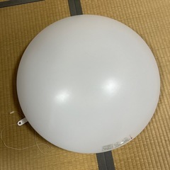 【お取引先決定】照明２つの画像