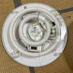 【お取引先決定】照明２つの画像