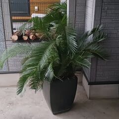 友達作り - 友達