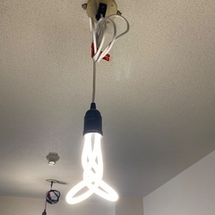 プルーメン plumen  3個の画像