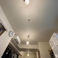 プルーメン plumen  3個の画像