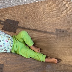 ハンモックの画像