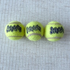 犬用　音が鳴るテニスボールの画像