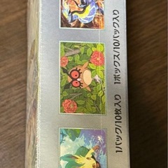 ポケモンカード　テラスタルフェスEXの画像