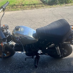 ゴールドモンキー　　の画像