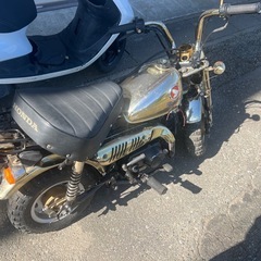 ゴールドモンキー　　の画像