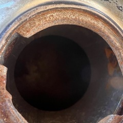 ゴールドモンキー　　の画像