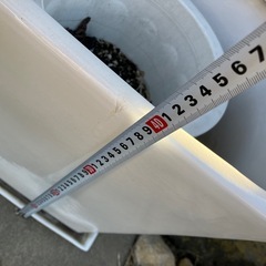 観葉植物の植木鉢の画像