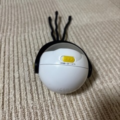 センサーライト❣️値下げ不可‼️早い方
最優先‼️の画像