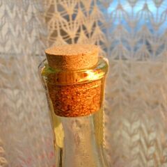 瓶　ビン　ガラス瓶　コレクター　テキーラ　porfidio 750ml 39.9% 2013 ポルフィディオ プラタカクタス 750ml 39.9% 液面低下の画像