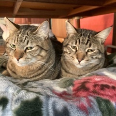 1才9ヶ月の兄弟❗️