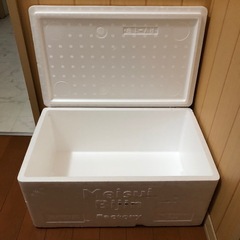 発泡スチロールの箱の画像