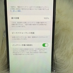 iPhone X 256GB シルバー 国内版SIMフリー バッテリー100％ 値下げ不能の画像