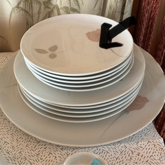 約15㌢平皿5枚　ケーキ取り分け用におすすめサイズの画像