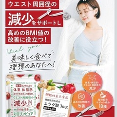 カロリンピュア 肥満気味の方の体重 体脂肪の減少を助ける 機能性表示食品 2袋　サプリ
の画像