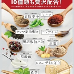 カロリンピュア 肥満気味の方の体重 体脂肪の減少を助ける 機能性表示食品 2袋　サプリ
の画像