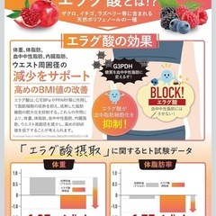 カロリンピュア 肥満気味の方の体重 体脂肪の減少を助ける 機能性表示食品 2袋　サプリ
の画像
