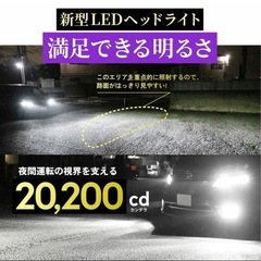 HID 屋　Dシリーズ　d2r d4r LEDの画像
