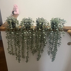 観葉植物　IKEAの画像