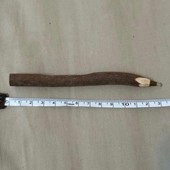 鉛筆風ボールペン 木の画像