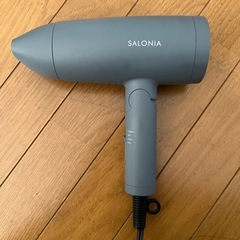 SALONIA サロニアSL-013GR ドライヤー　の画像