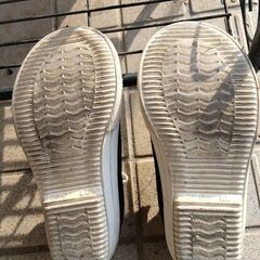 女性用LL（25.0ｃｍ）スニーカーの画像