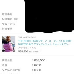 ノースフェイスヌプシダウンの画像