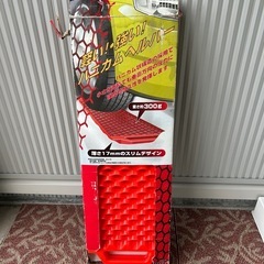 スノーヘルパー